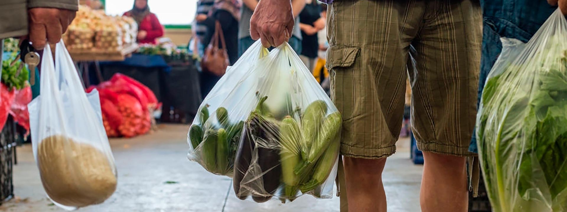 Polietilenos norte venta de bolsas plasticas